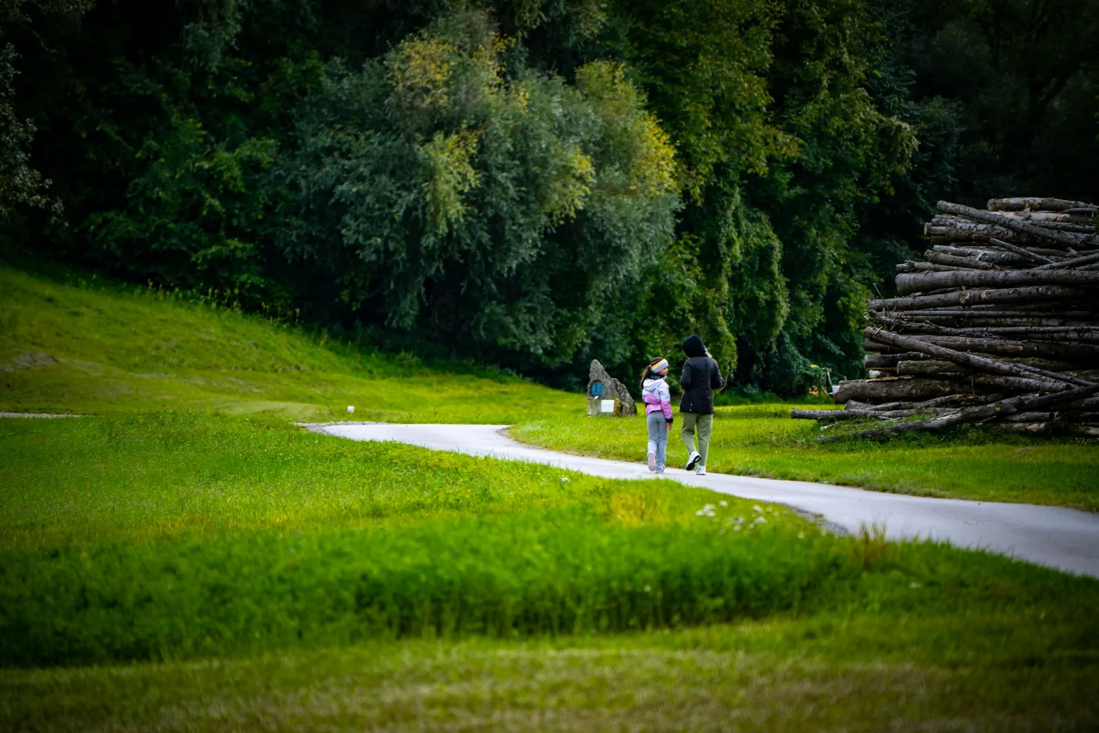 Morsure de tique chez l’enfant : retirer, surveiller et quand consulter