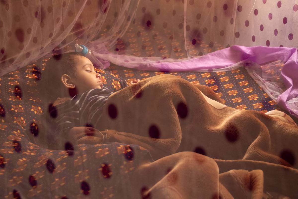 Anti-moustique bébé : ce qui est autorisé selon l&rsquo;âge cet été
