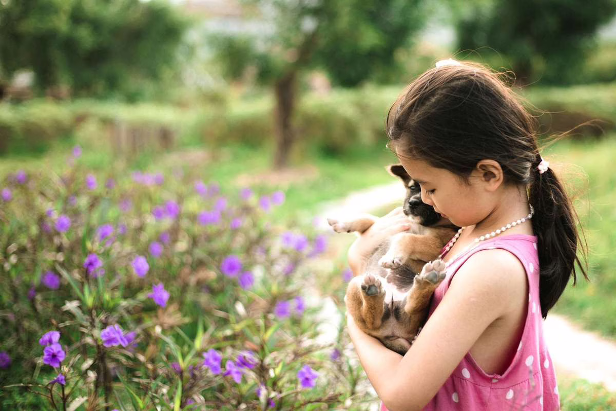 Jeune enfant jouant avec un chien dans un jardin, scène de cohabitation sereine entre enfant et animal de compagnie