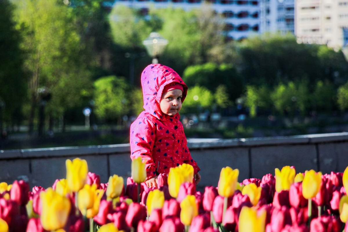 Plantes toxiques au jardin et sur le balcon : les dangers pour les jeunes enfants cet été