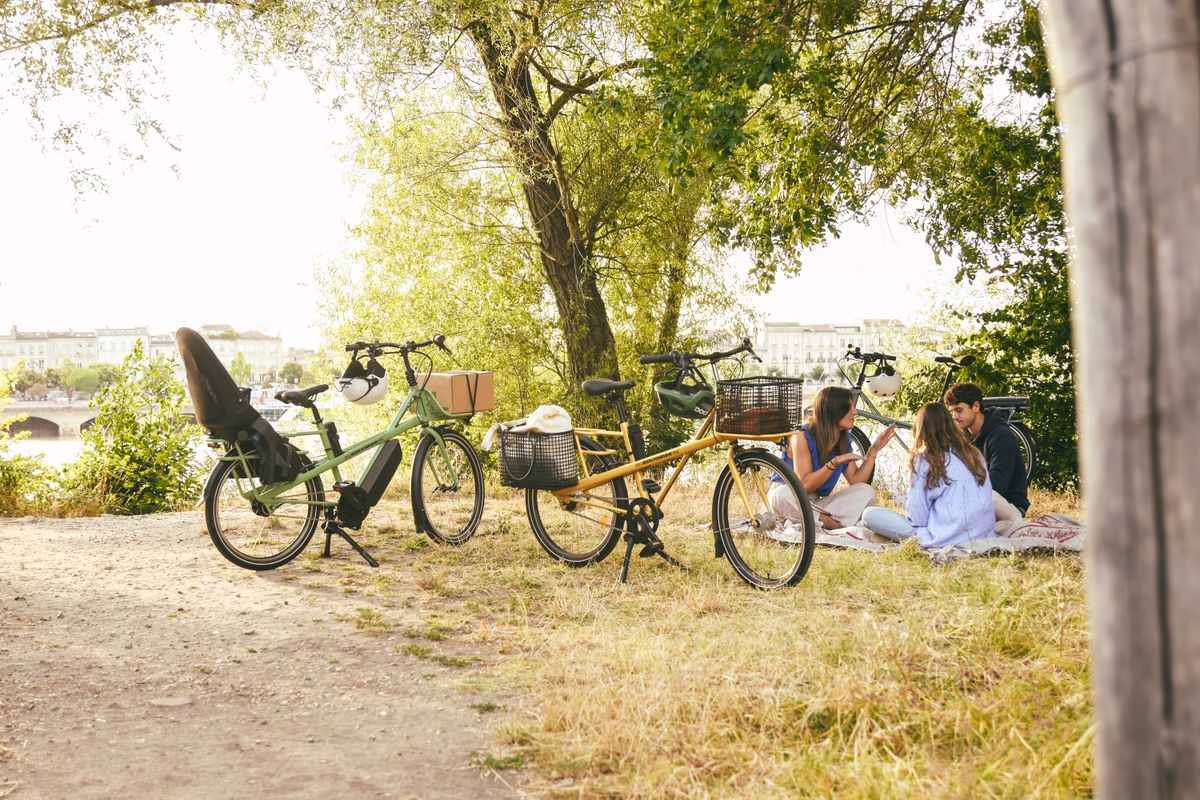 Panier de pique-nique familial posé à l'ombre dans l'herbe en été avec fruits et boissons fraîches