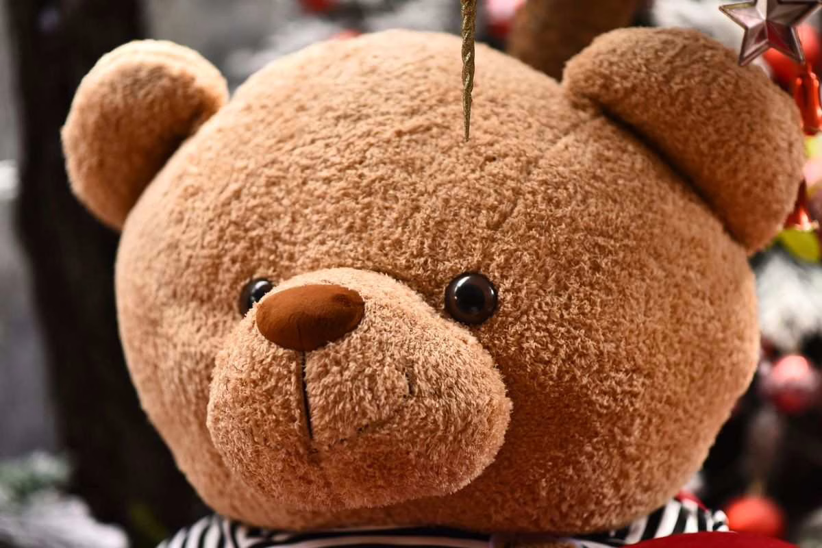Rappel peluche : ce modèle Castor de BERENTOYS retiré pour deux risques