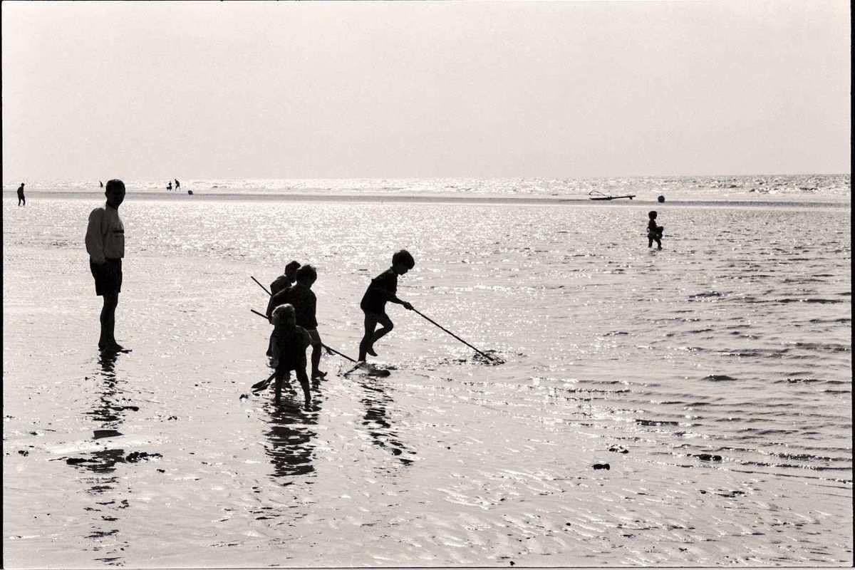 Enfants jouant au bord de la mer sur une plage l'été, prévention des piqûres de méduse pendant la baignade