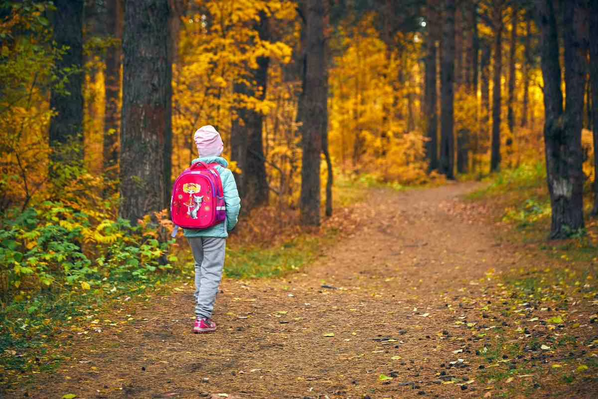 Un enfant marchant dans un sous-bois en été, situation propice à une piqûre de tique lors des balades en nature
