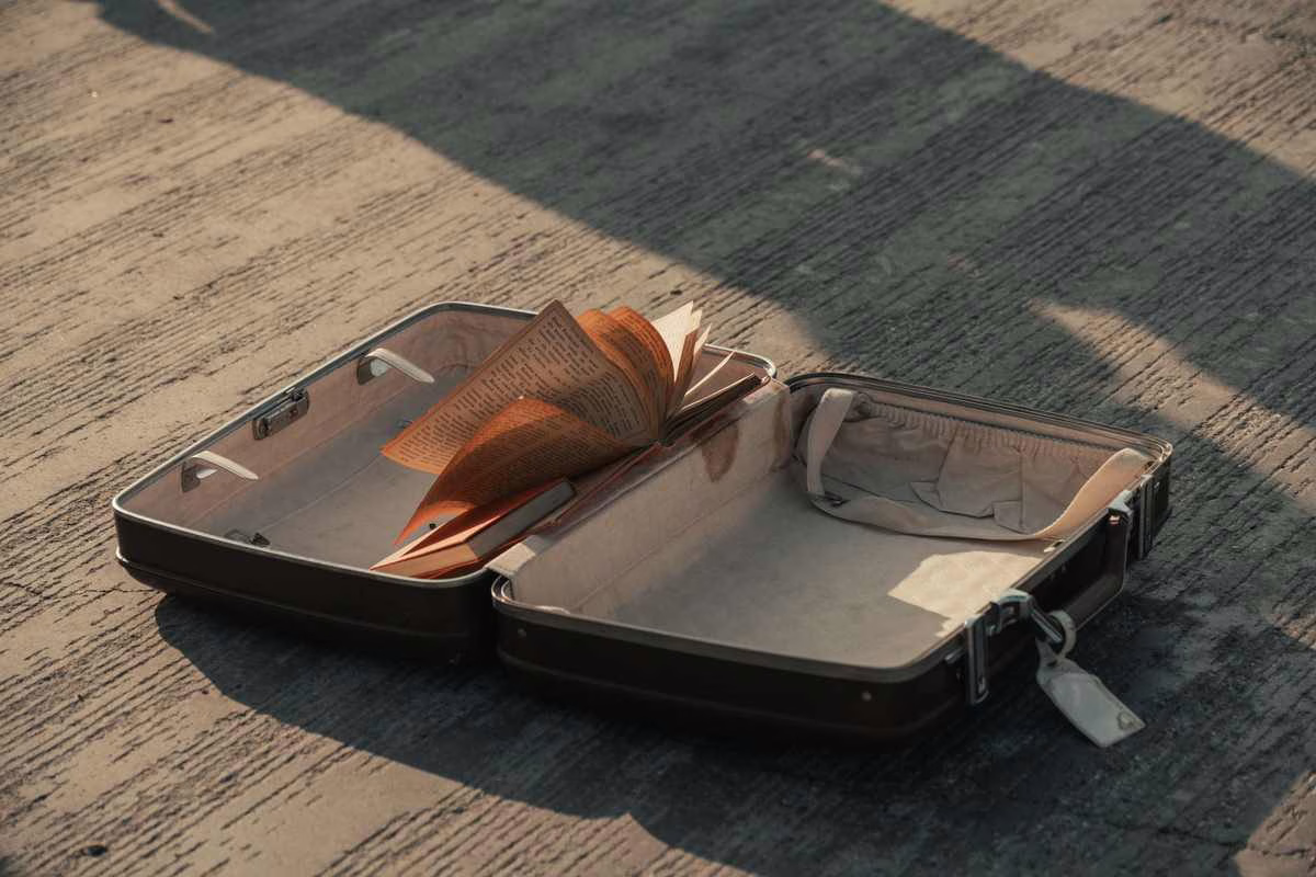 Punaises de lit : le réflexe valise à adopter au retour des vacances