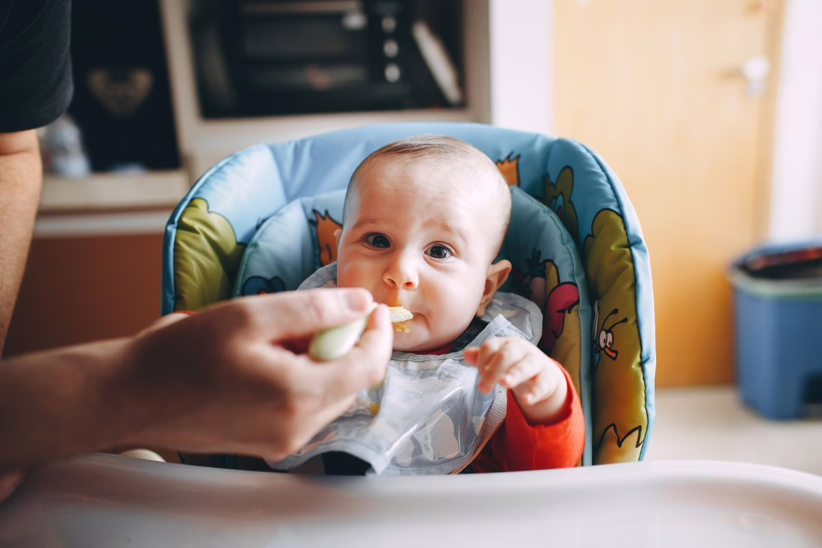 Rappel petits pots Bébé Gourmet : tous les lots concernés, le bon réflexe à avoir
