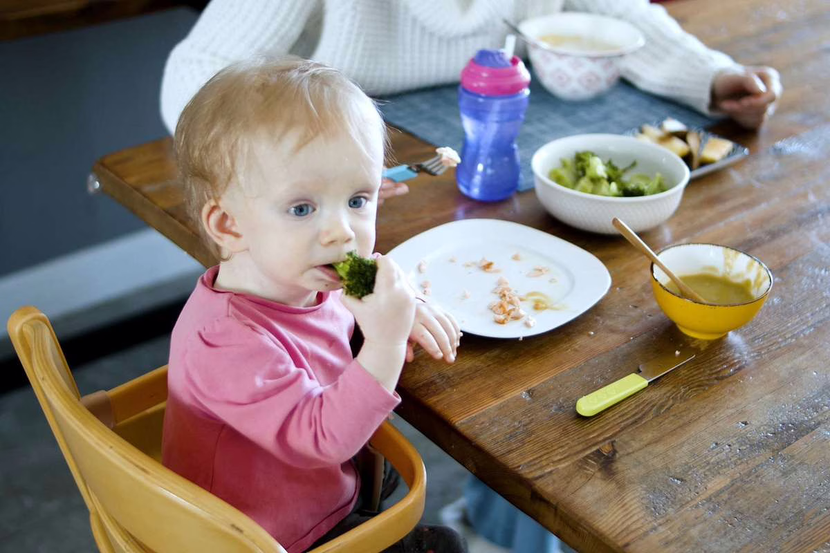 Ce manque discret qui fatigue les bébés : les pédiatres surveillent le fer de près
