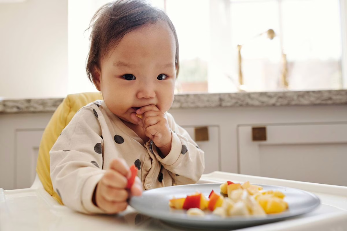 Melon, pêche, abricot : à quel âge pour bébé ?