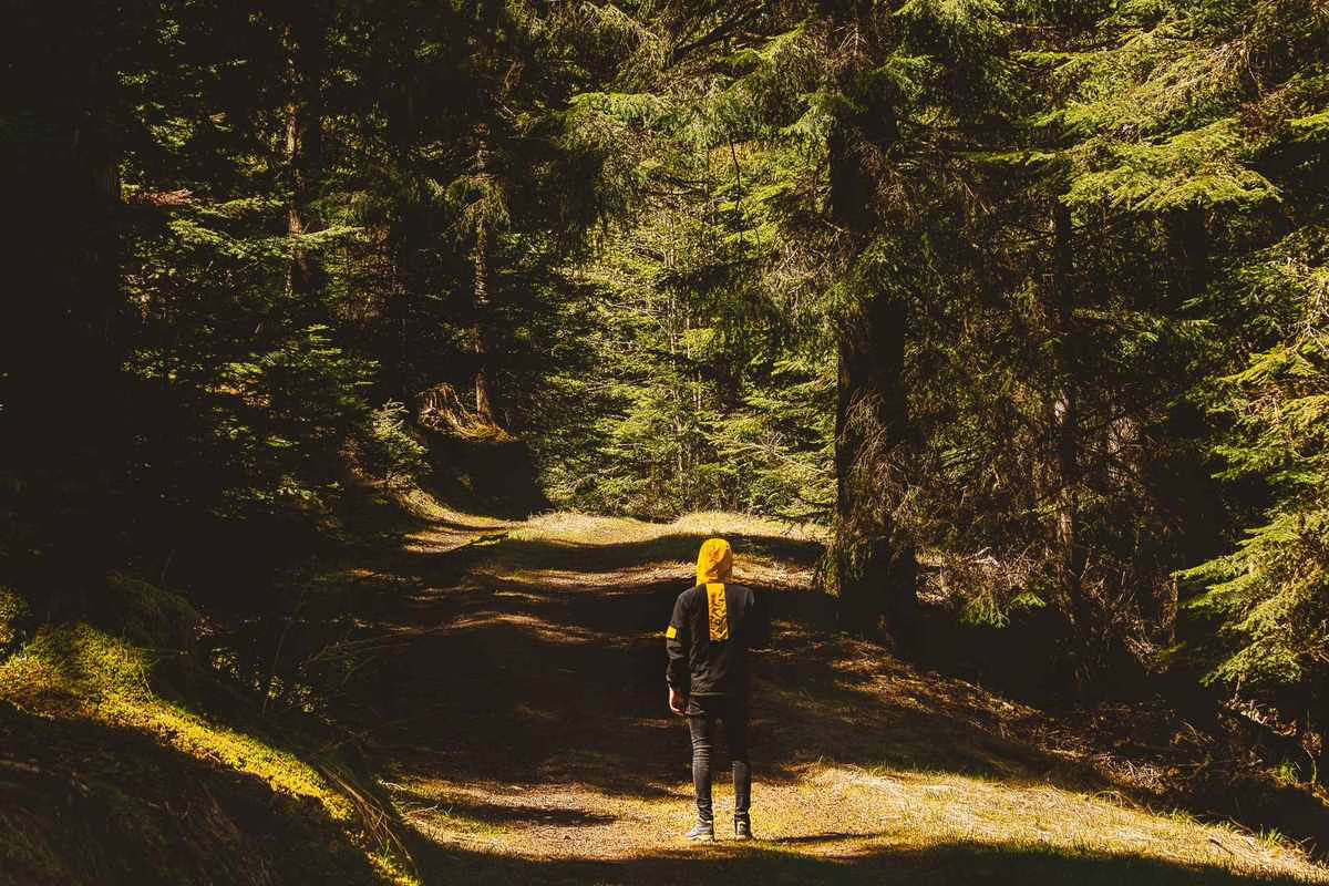 Enfants marchant sur un sentier en foret en ete, jambes couvertes, prevention des tiques